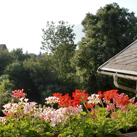 Gasthof-pension Reidnwirt Отель типа 